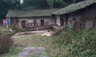 重庆渝北房屋出租