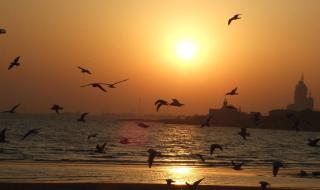 金飞讲故事2013全集