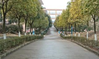 江西美佛儿国际学校