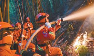 重庆山火最新情况