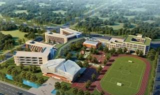 青岛大学专科分数线