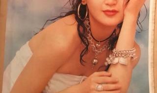 温碧霞任达华惊变