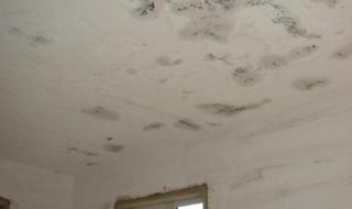 专业修理屋顶漏水