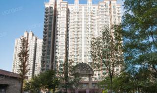 阳光星期八 阳光星期八