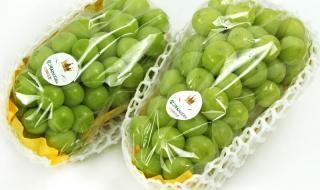 晴王葡萄价格大跳水