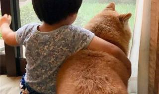 岁月就像一把杀猪刀 岁月就像一把杀猪刀