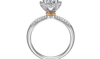 现在白金多少钱一克 现在白金多少钱一克