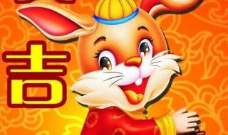 玉兔拜年图片大全 玉兔拜年图片大全