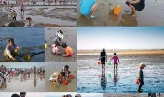 大连旅游攻略自由行